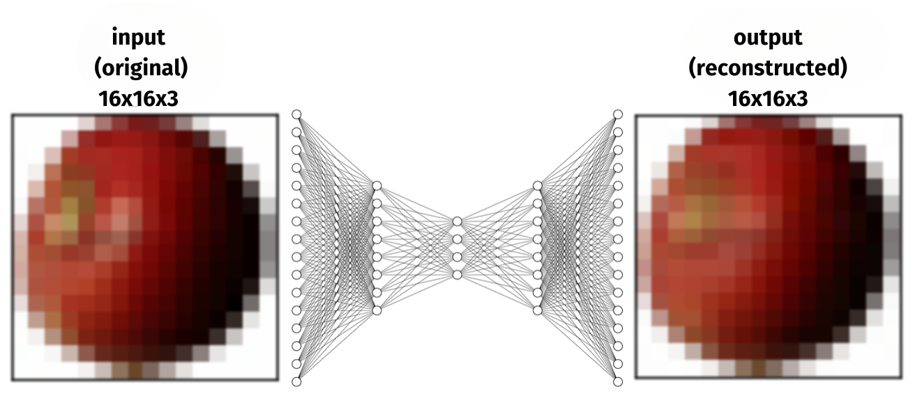 Schematic representation used autoencoder