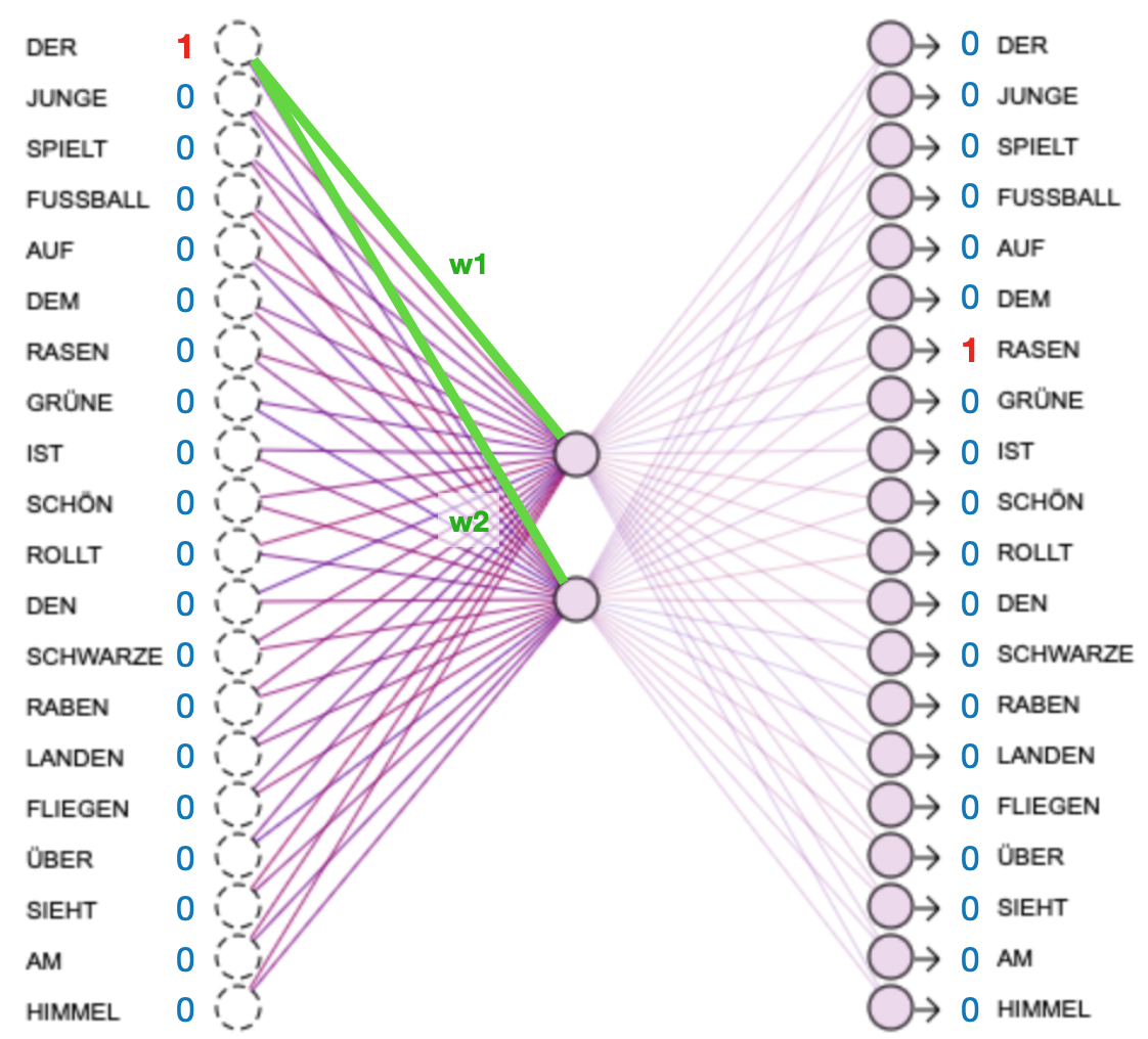 Schematic representation of the training vocabulary as network