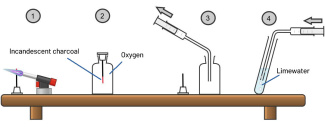 experiment steps