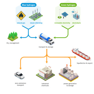 Comparison of the two types of hydrogen production, blue hydrogen from natural gas and steam reforming, and green hydrogen from renewable electricity and electrolysis