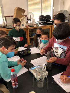 Students weighing salted water